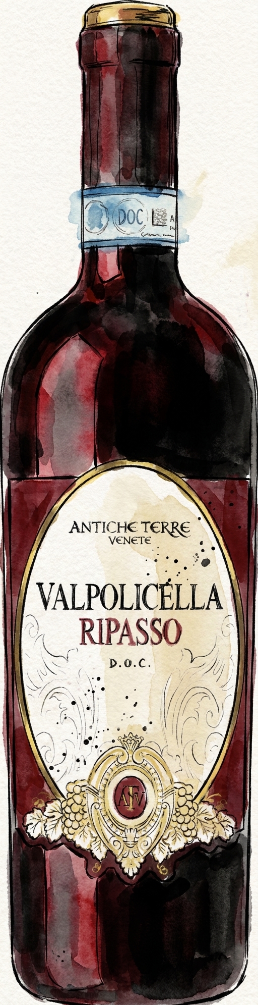 Antiche Terre Venete Valpolicella Ripasso – Italien
