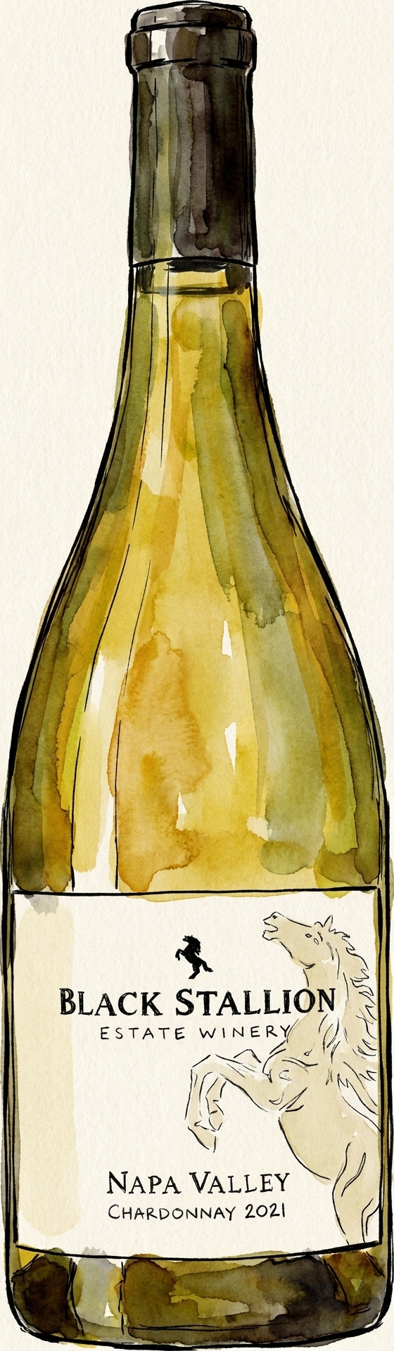 Black Stallion Napa Valley Chardonnay – USA