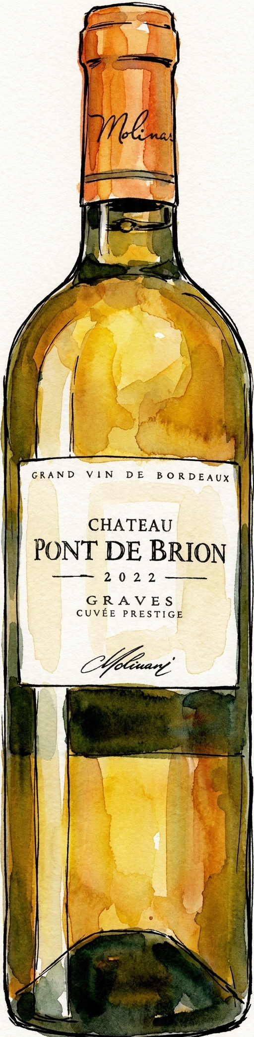 Château Pont de Brion – Frankrike